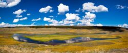 Yellowstone River - Hayden Valley