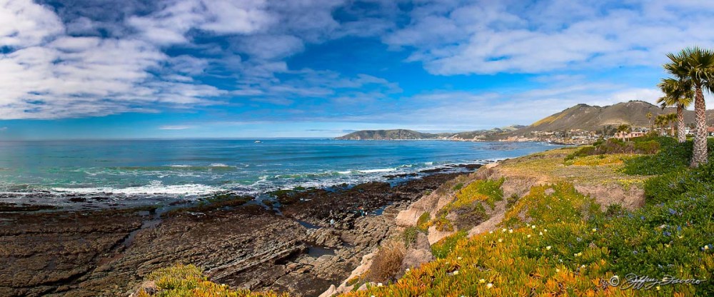 Low Tide Below Palisades Park