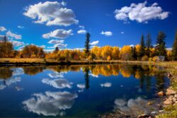 Upper Pond Fall Reflection - 7F Ranch