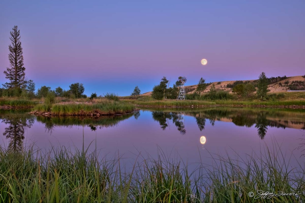 7F Pond August Moonrise