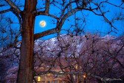 Full Moon - Lester Park