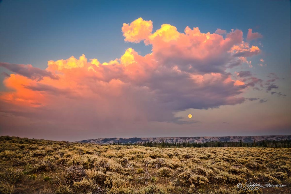 Full Moonrise And Sagebrush