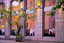 Restaurant Window Reflection - Ukraine