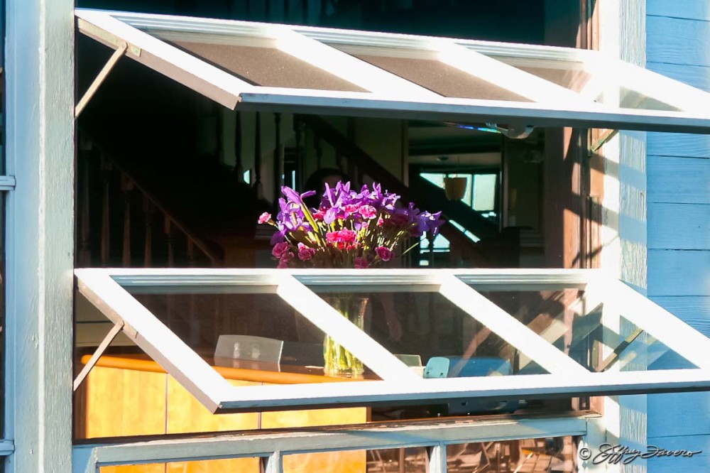 Window Flowers - San Francisco Pier