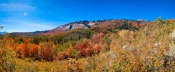North Fork Fall Colors
