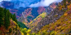 Fall Ogden Canyon