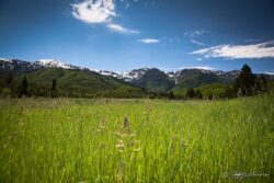 Spring North Fork Park