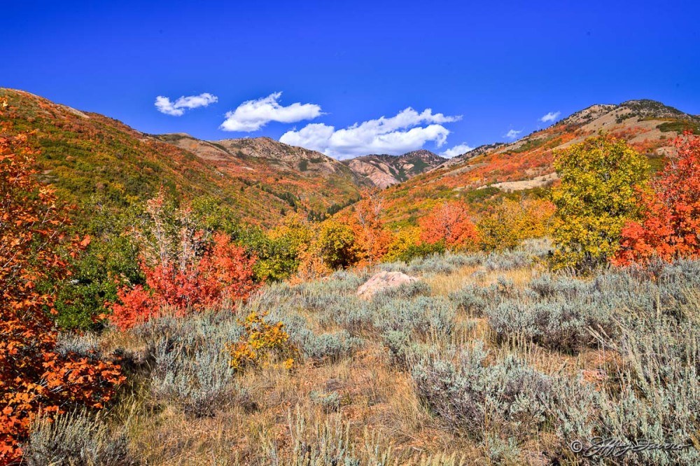 Fall Colors Below Powder Mountain