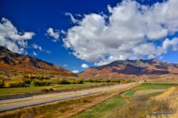 Peterson - Mountain Green