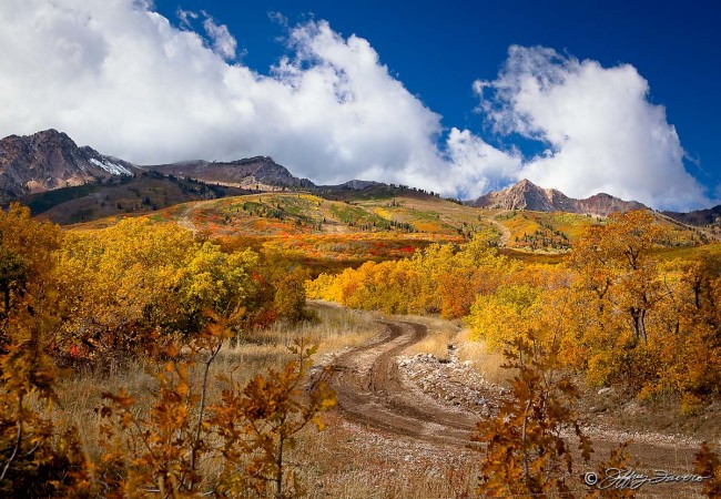 Fall Below Snow Basin
