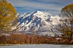 Late Fall Ben Lomond