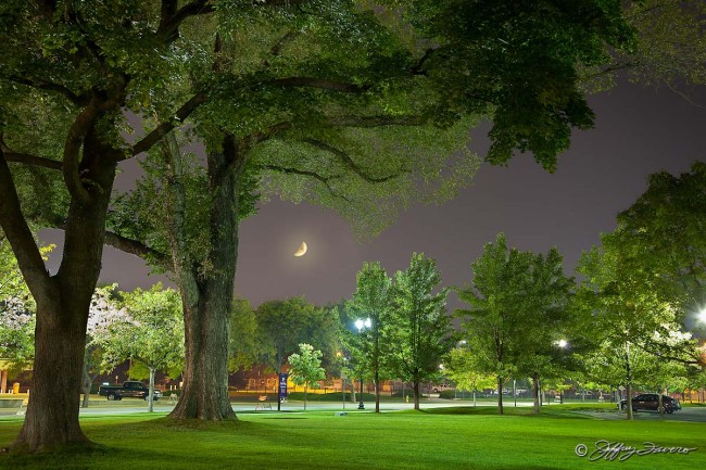 Crescent Moon Across Municipal Park