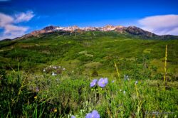 Backside Mt. Ogden - Early June