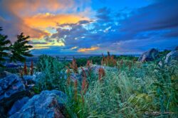 Mid-June Evening Sunset