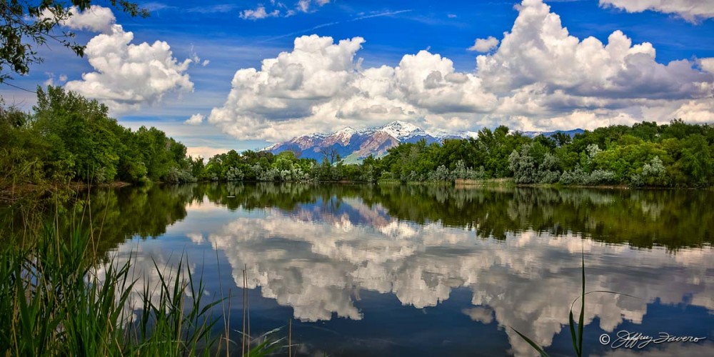 Spring Ben Lomond Reflection