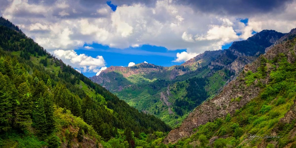 Spring Ogden Canyon