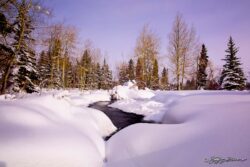 Wondrous Winter Wyoming