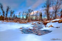Blacks Fork In Winter