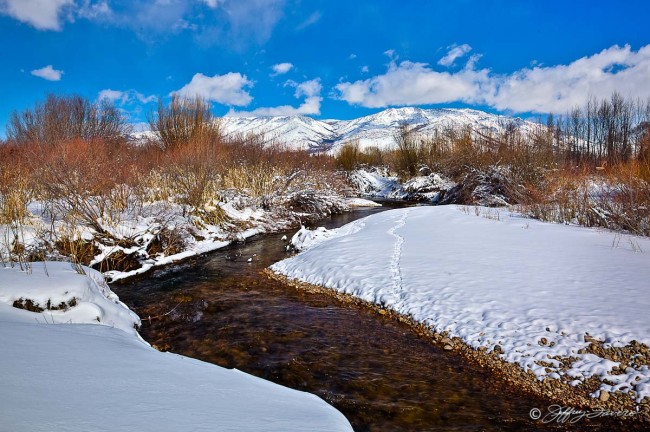 Winter Ogden Valley