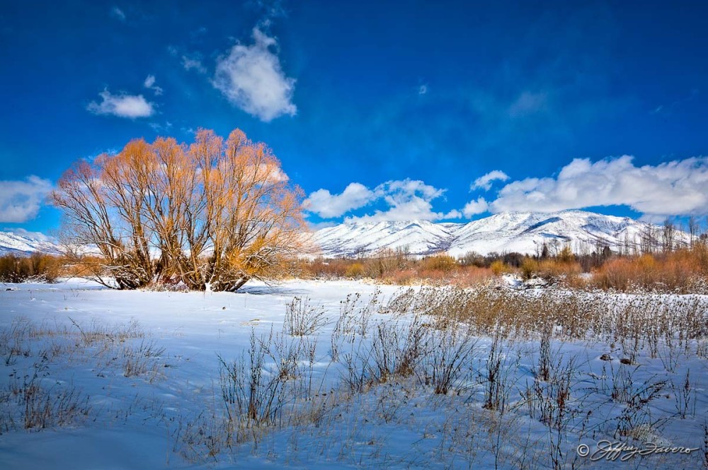 Colorful Ogden Valley Winter