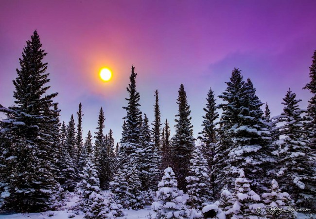 Winter Afternoon
