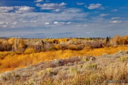 Overlooking Bridger Platteau