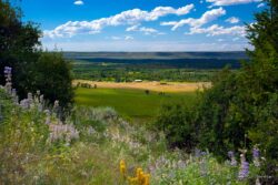 Summer Ridge View - 7F Ranch