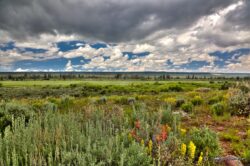Upper Bridger Valley