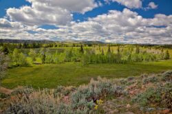 Spring - Upper Bridger Valley