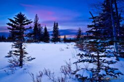 Winter Color At Sunset