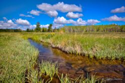 Stream, Meadow, Sky