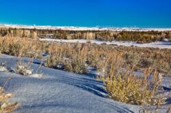 Sagebrush, Snow, Wind Turbines