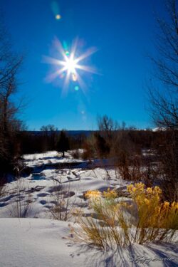 Winter Sunburst