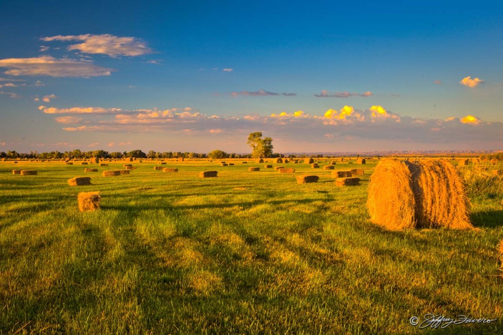 Hay Bales At Sunset