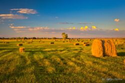 Hay Bales At Sunset