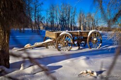 Winter Wagon