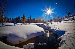 Winter Sun And Stream