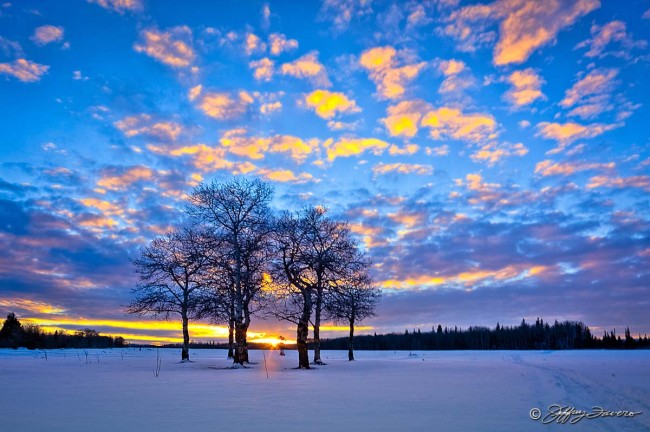 Wyoming Winter Sky