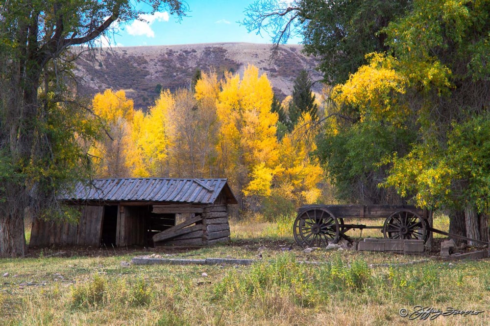 Fall Cabin And Wagon