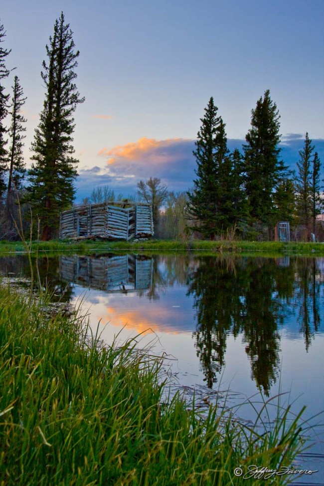 Cabin Pond Reflection
