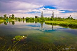 Heaven In Bridger Valley Wyoming