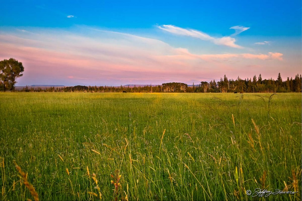 Grassy Meadow At Sunset