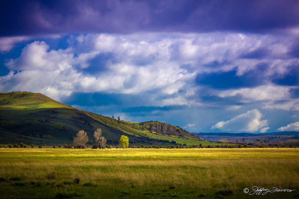 Upper Bridger Valley