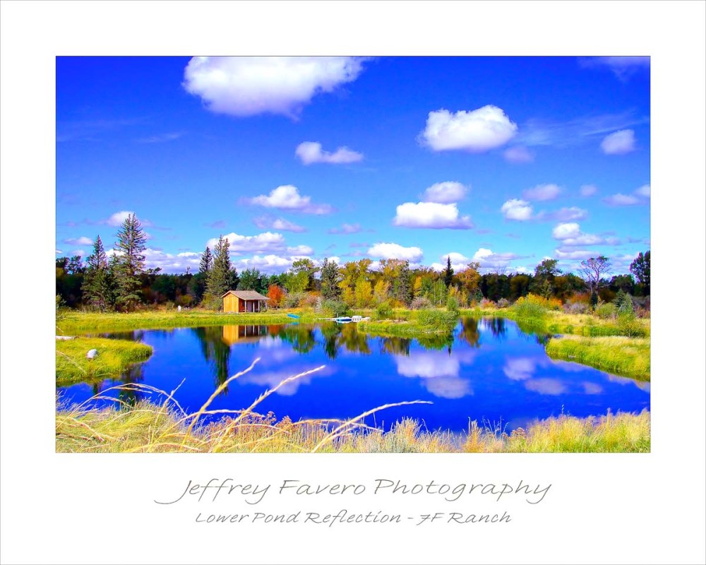 Lower Pond Reflection 2010