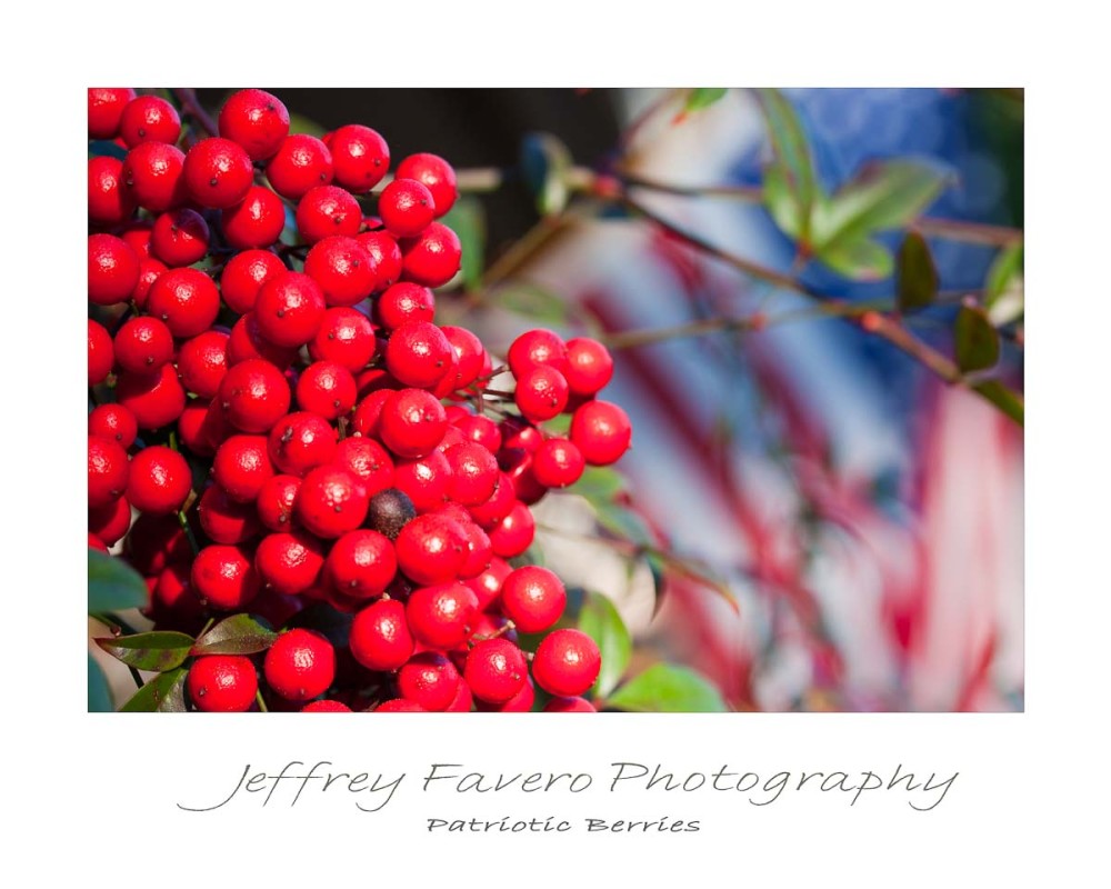 Patriotic Berries