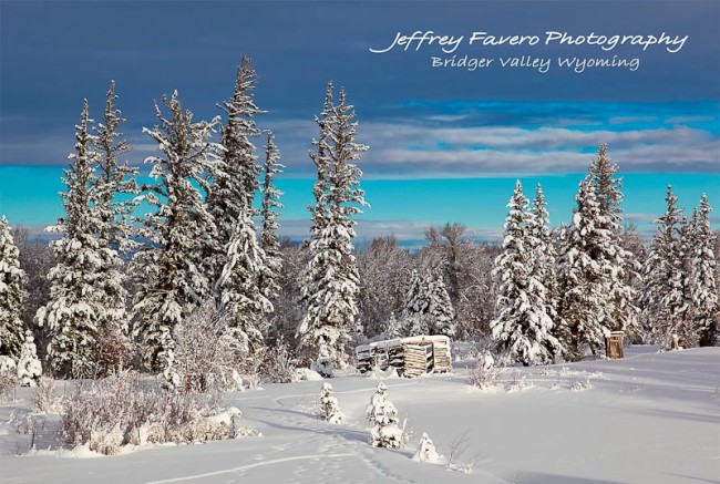New Fallen Snow At Sunrise Postcard