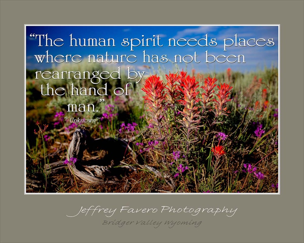 indian pb_human spirit