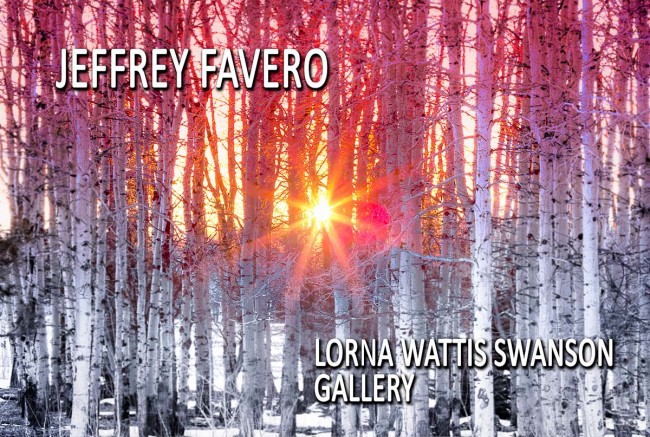 Lorna Wattis Swanson Gallery - Jeffrey Favero
