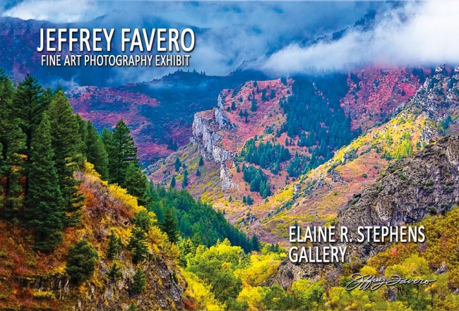 Elaine R. Stephens Gallery - Jeffrey Favero Featured Artist