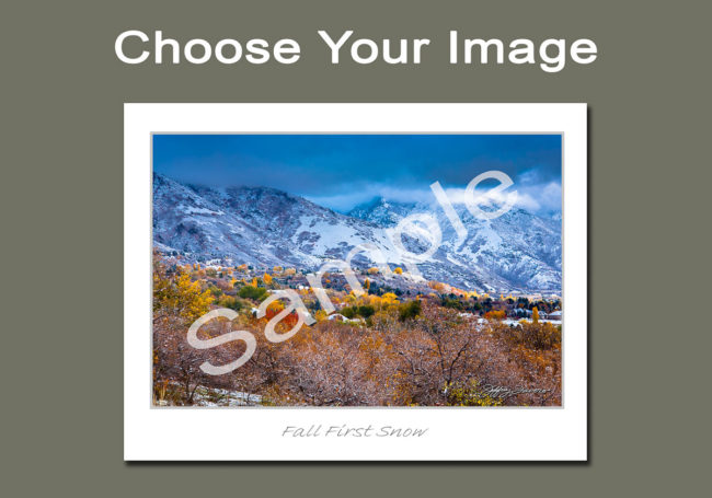 Choose Your Image Notecards